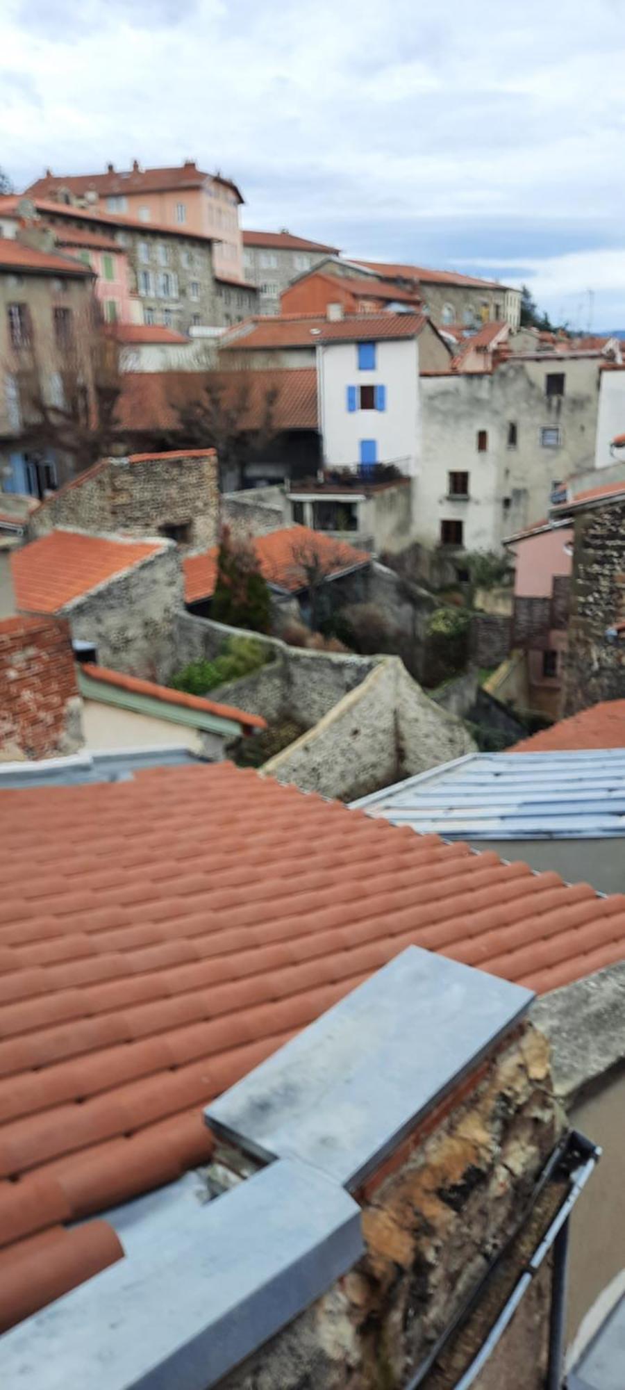 Le Puy-en-Velay Bienvenue Chez Vous 아파트 외부 사진